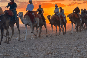 Pack Agafay : quad + dromadaire + dîner-spectacle (départ Marrakech)