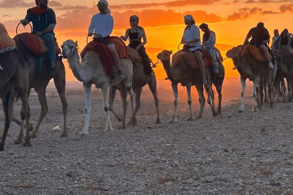 Pack Agafay : quad + dromadaire + dîner-spectacle (départ Marrakech)