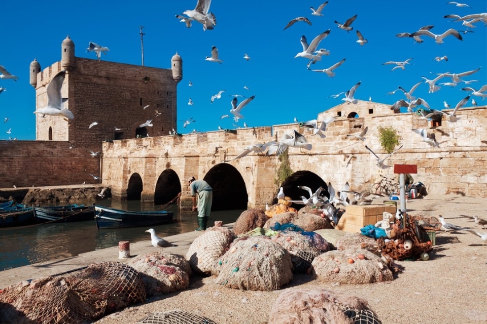 Excursion privée 1 jour Essaouira au départ de Marrakech
